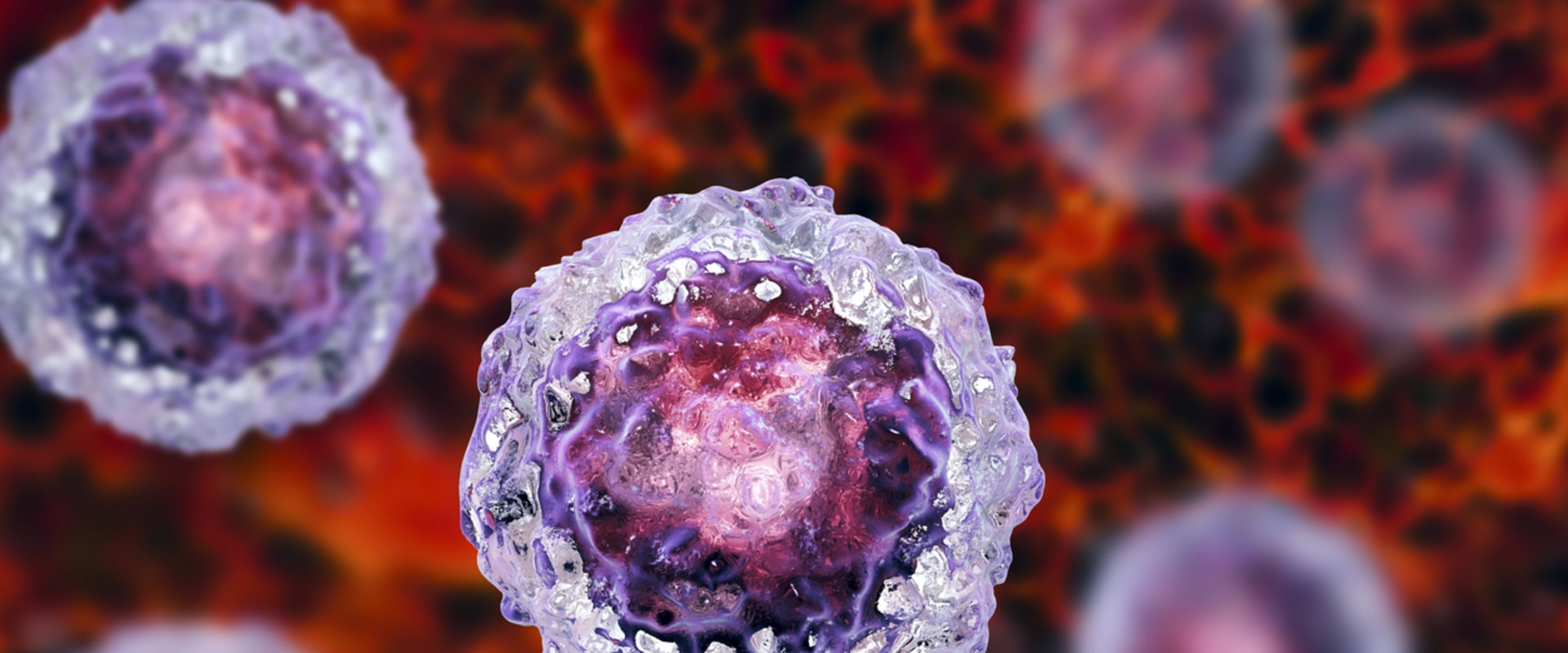 What type of stem cell is most useful?
