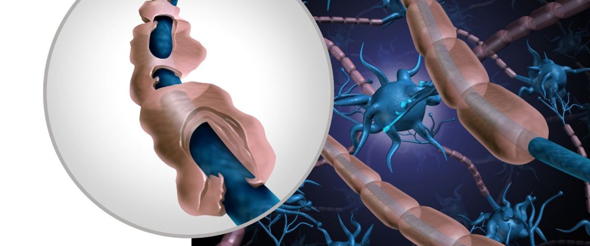 The Power of Stem Cell Therapy: How It Can Provide Long-Term Relief
