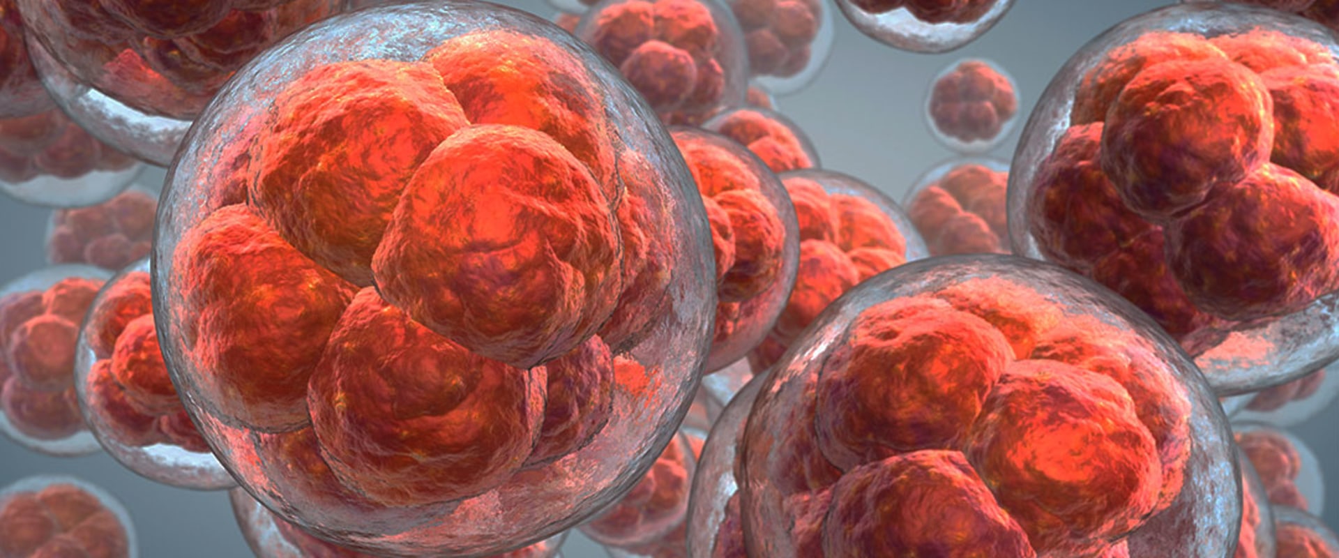 Does insurance cover stem cell therapy?