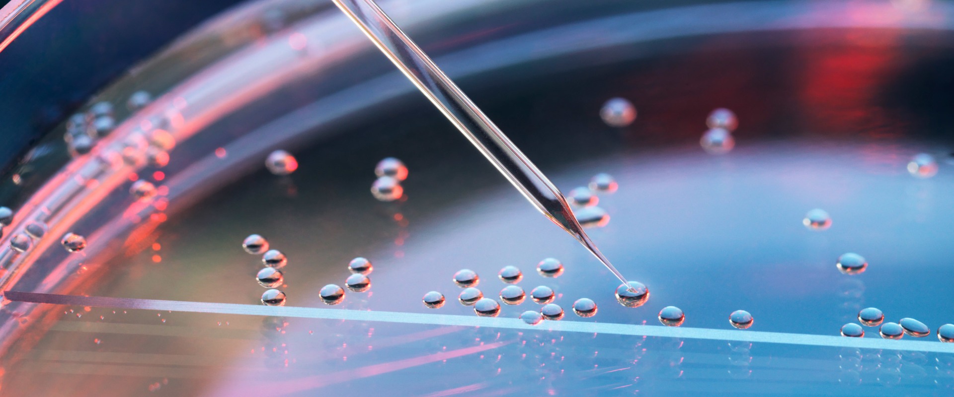 Is stem cell research still banned?