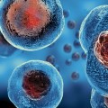 Is stem cell therapy proven?