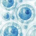 The Power of Stem Cells: A Comprehensive Guide to Understanding and Utilizing Stem Cell Therapy