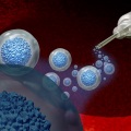Is stem cell transplant high risk?