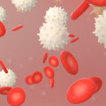 What are the long-term effects of a stem cell transplant?