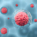 The Power of Stem Cell Therapies: Types, Uses, and Research