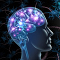 How long does it take for stem cell infusion for autism work?