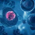 How long does it take for stem cells to work?