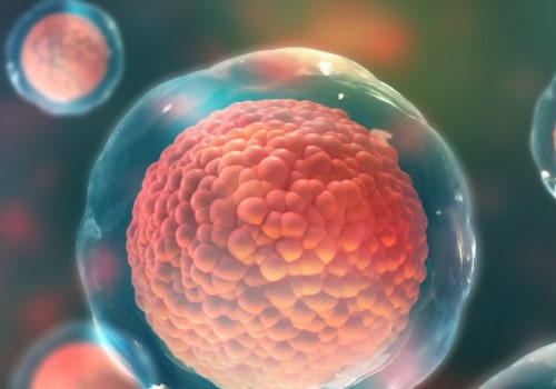 Can stem cells be used to treat human diseases?