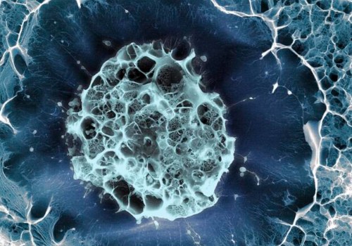 The Power of Stem Cells: Unlocking the Potential of Regenerative Medicine