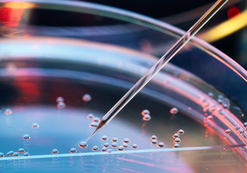 Is stem cell research still banned?